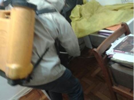 Contole de Pragas no Belém
