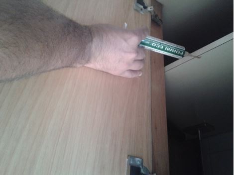 Controle de Pragas no Belenzinho