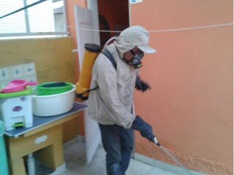 Controle de Pragas no Itaim Bibi