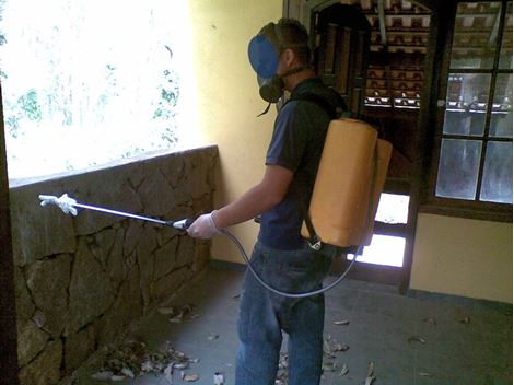 Controle de Pragas no Jardim Aricanduva
