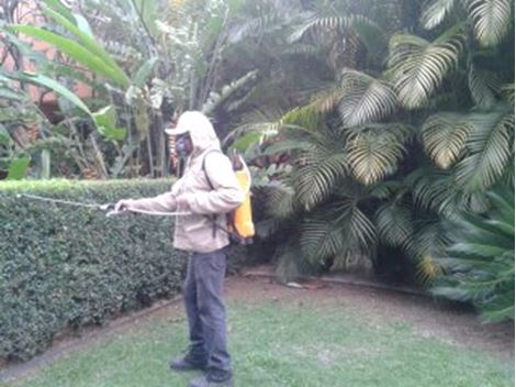 Empresa Dedetizadora no Jardim das Flores