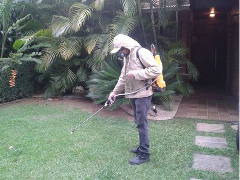 Controle de Pragas no Jardim São Jorge
