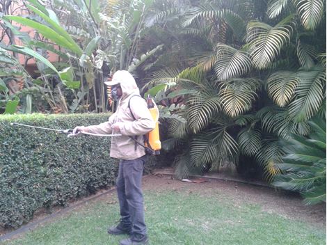 Controle de Pragas no Jardim São Paulo