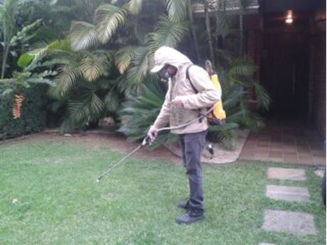 Dedetizar no Jardim Umarizal