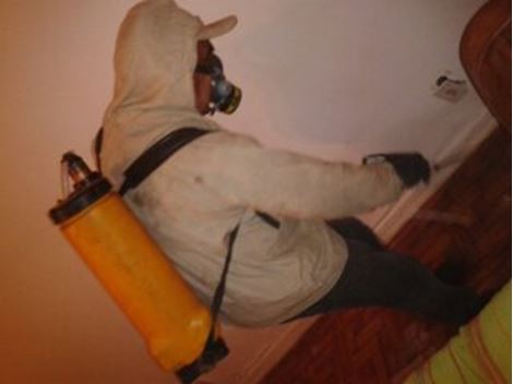 Controle de Pragas no Limão