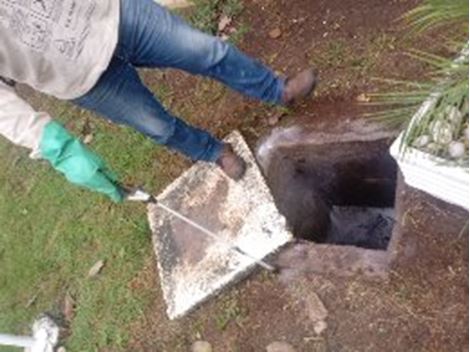 Controle de Pragas no Pacaembu