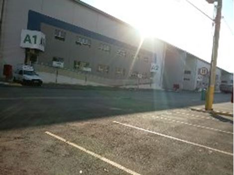 Dedetizar no Pari