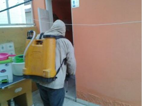 Controle de Pragas no Real Parque