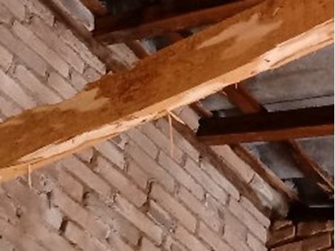 Descupinizadora na Cidade Tiradentes