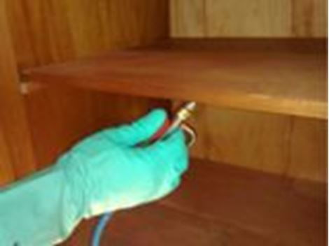 Empresa Descupinizadora na Cidade Tiradentes