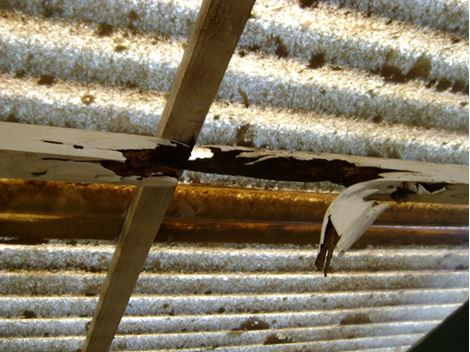 Descupinização Especializada na Vila das Mercês