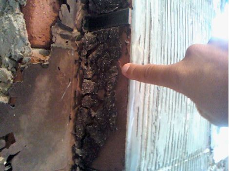 Empresa de Descupinização no Jardim Itacolomi