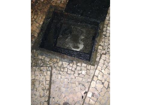 Hidrojateamento no Jardim das Flores