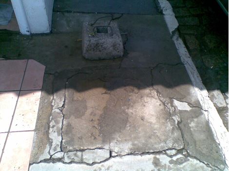 Desratizar na Bela Vista