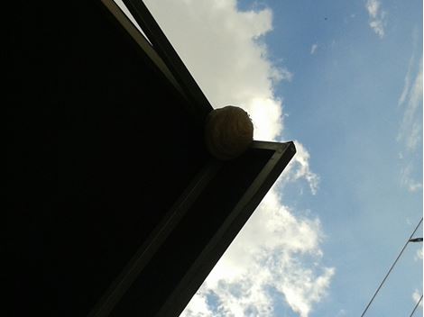  Dedetizadora na Cidade Tiradentes