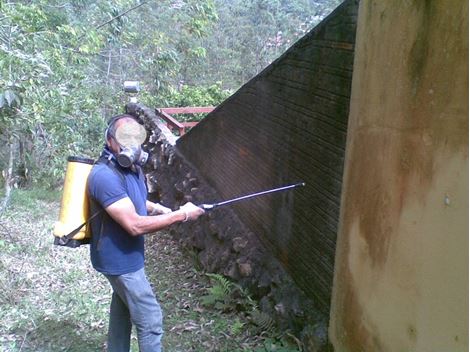 Serviços de Dedetizadora no Itaim Paulista