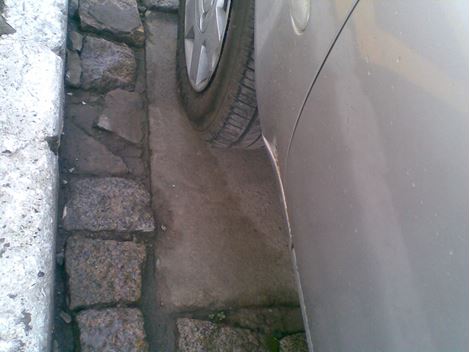 Dedetizadora Profissional no Jardim Arpoador