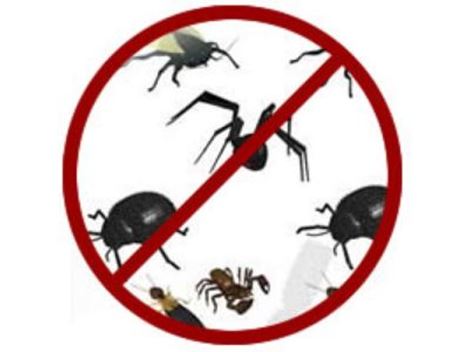 Controle de Pragas na Cidade Jardim