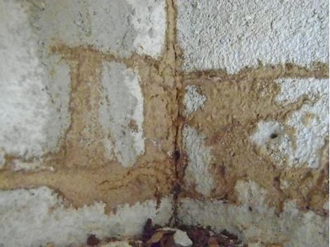 Controladora de Brocas em Campinas