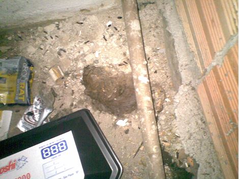 Controladora de Rato em Cotia