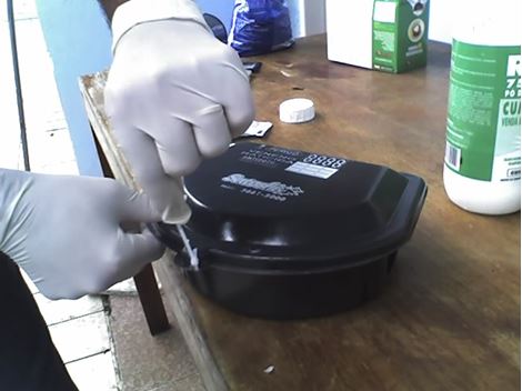 Desratizar em Embu Guaçu
