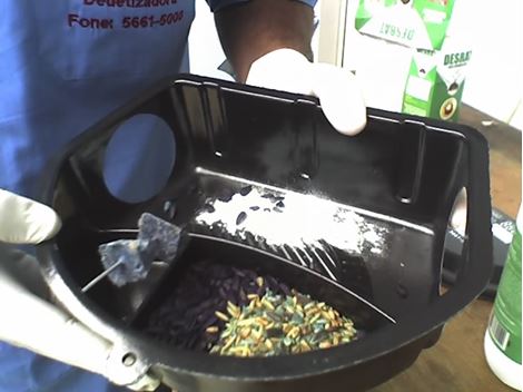 Ratos e Roedores em Embu Guaçu