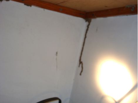 Controladora de Brocas em Francisco Morato