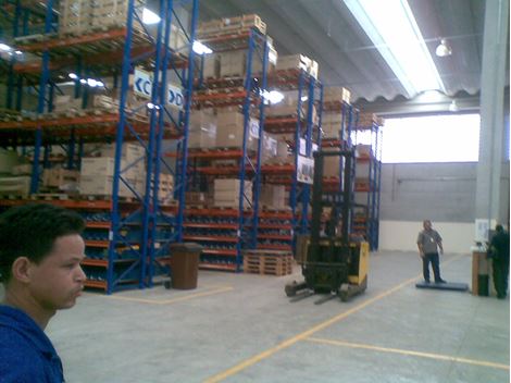 Dedetizadora de Insetos em Franco da Rocha