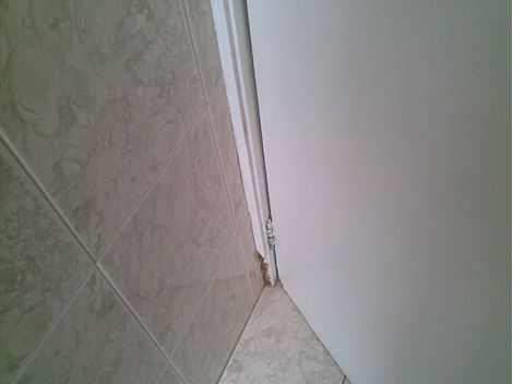 Controladora de Cupim em Itapevi
