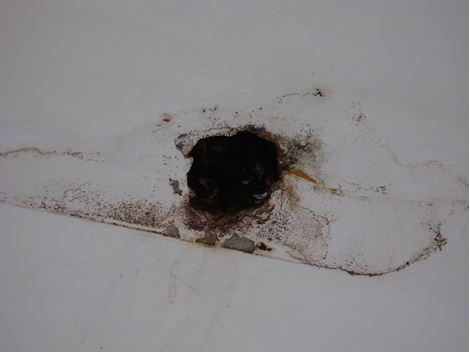 Controladora de Cupim em Itaquaquecetuba