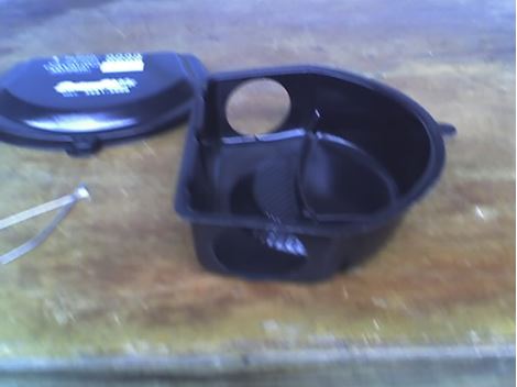 Rato em Mairinque