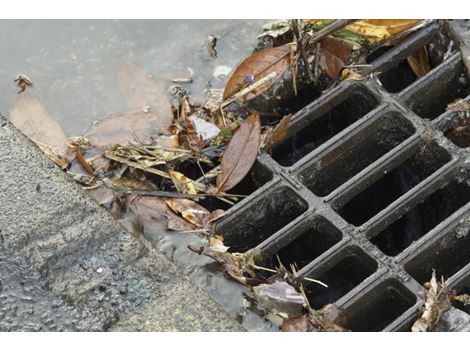 Serviço de Limpeza de Fossa no Rio Pequeno