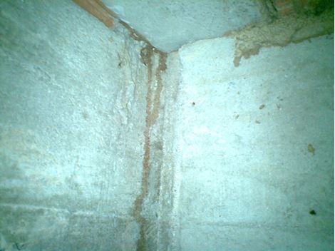 Controladora de Cupim em Ribeirao Pires