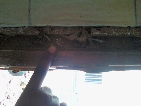 Controle de Cupim em Suzano