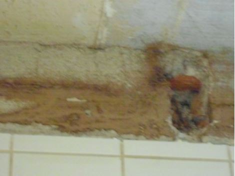 Controle de Cupim em Vargem grande Paulista