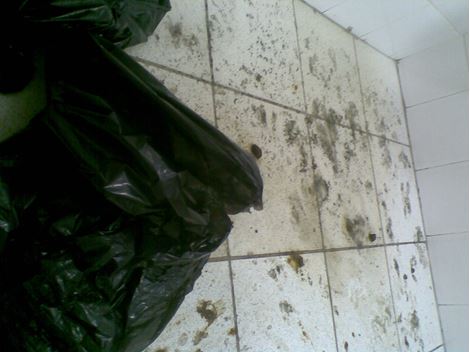 Limpeza de Fossa em Guaianazes