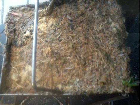 Limpa Fossa na Penha de França