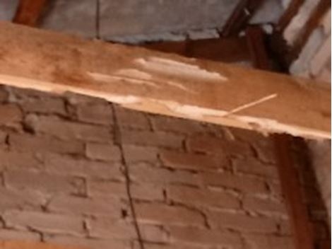 Empresa Descupinizadora no Centro